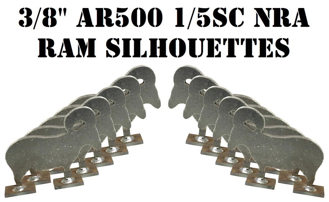 Magnum Target 10pc 1/5sc. NRA/IHMSA 3/8